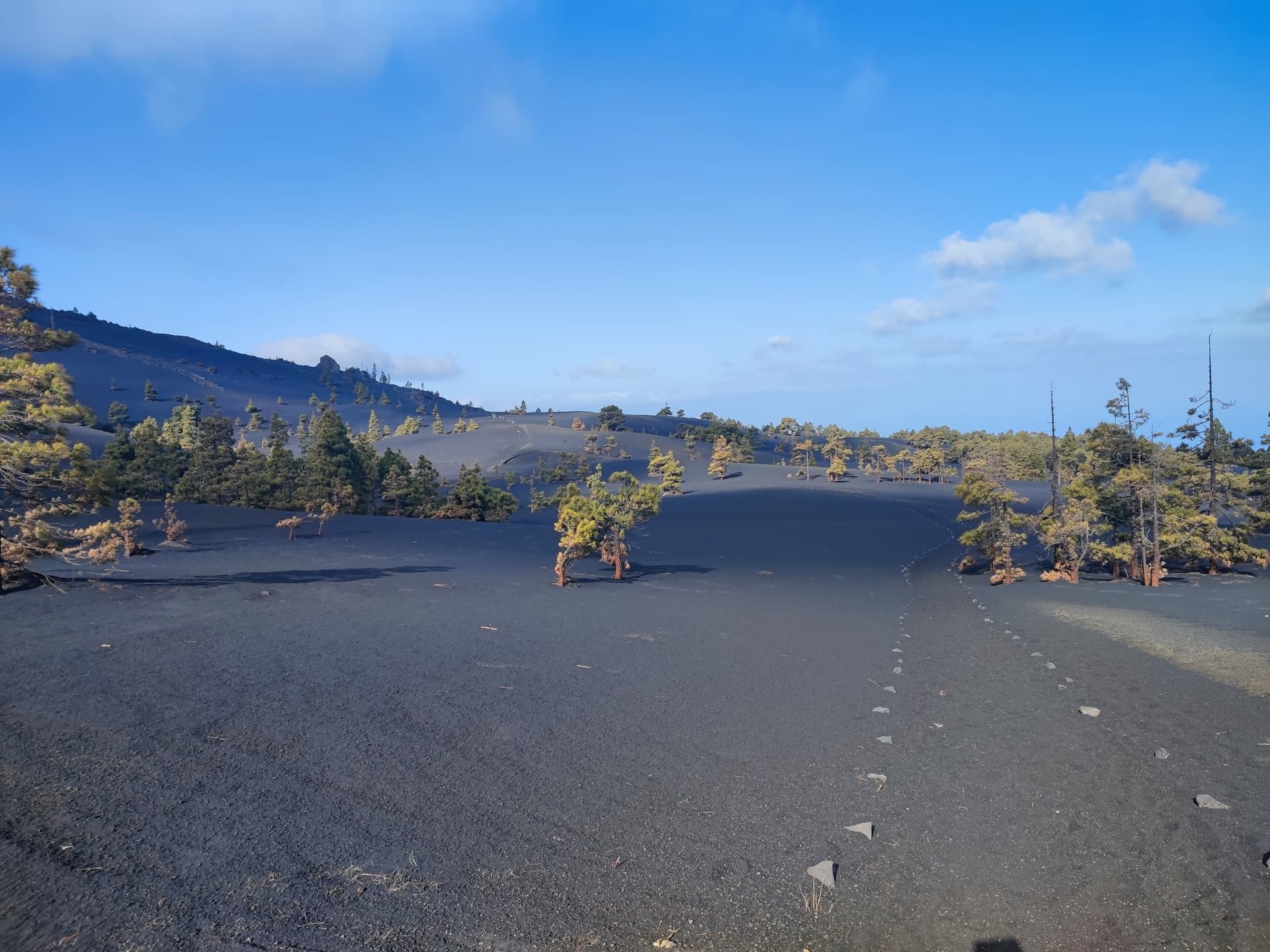 VISITA GUIADA AL TUBO VOLCÁNICO CUEVA DE LAS PALOMAS - VOLCAN TAJOGAITE sendero Llano del Jable