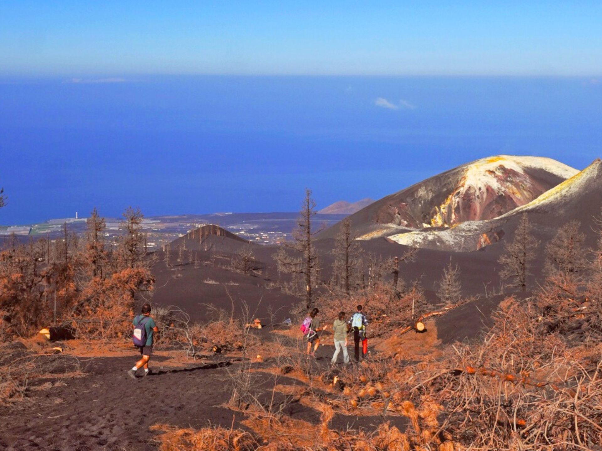 grupo bajando por pinar hacia el volcán